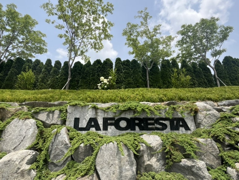 LAFORESTA(라포레스타) 이미지