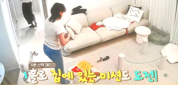 태리교대 이미지