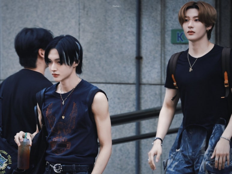 마이디어 이미지