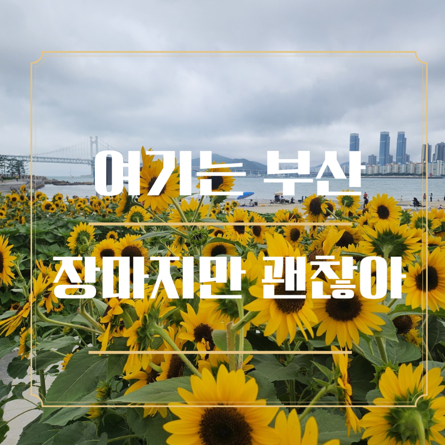 아포가토디젤라또 이미지