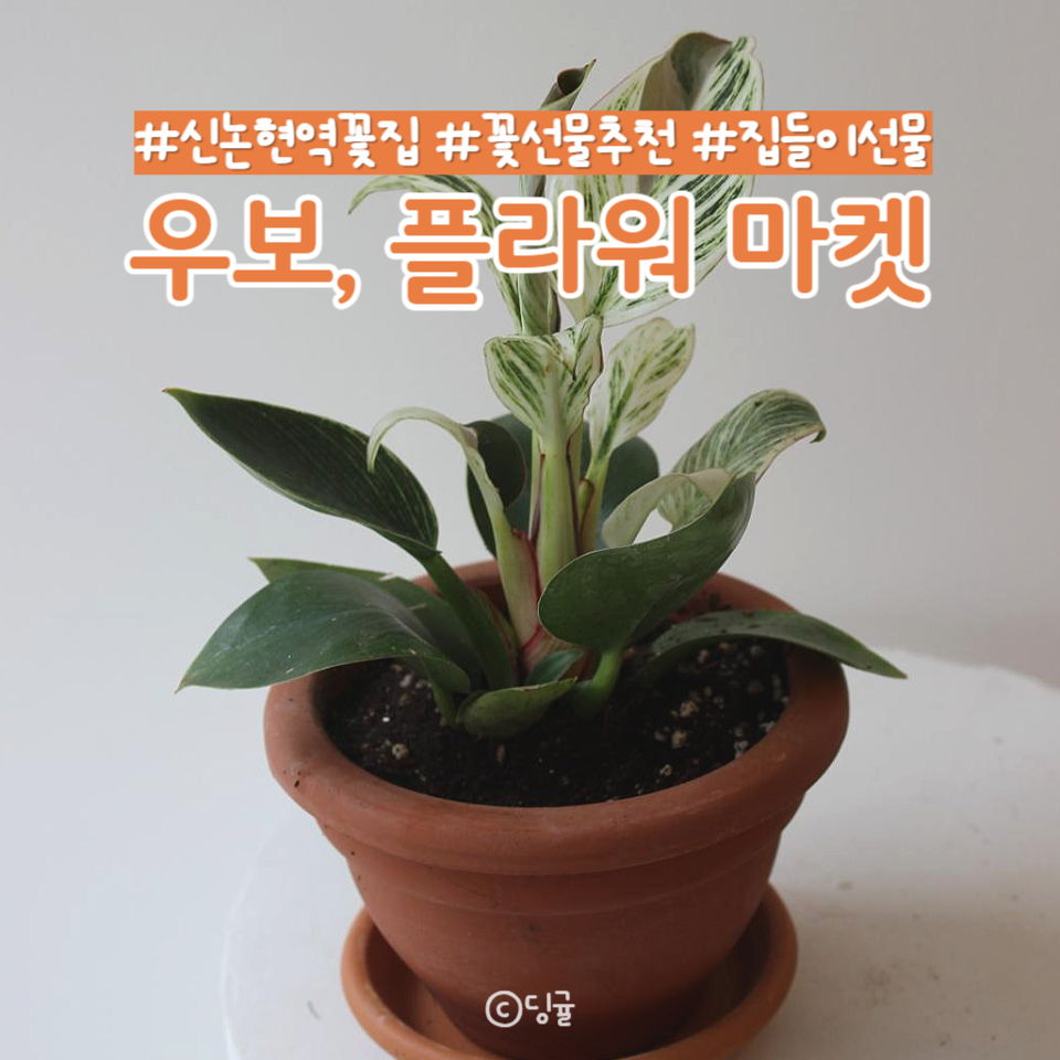 우보플라워마켓 이미지