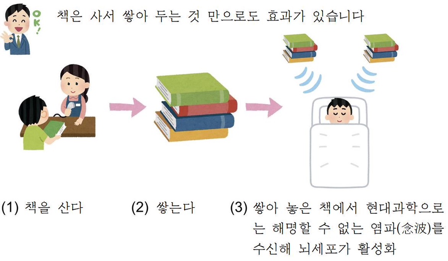 낭만고냥이 이미지