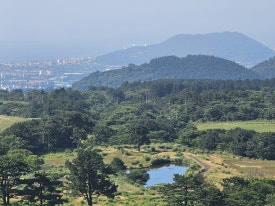 한라여행사 이미지
