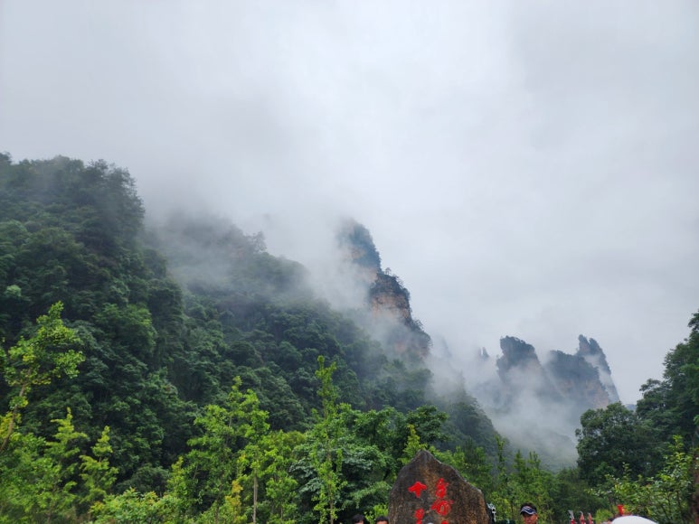 킹여행사(주) 이미지