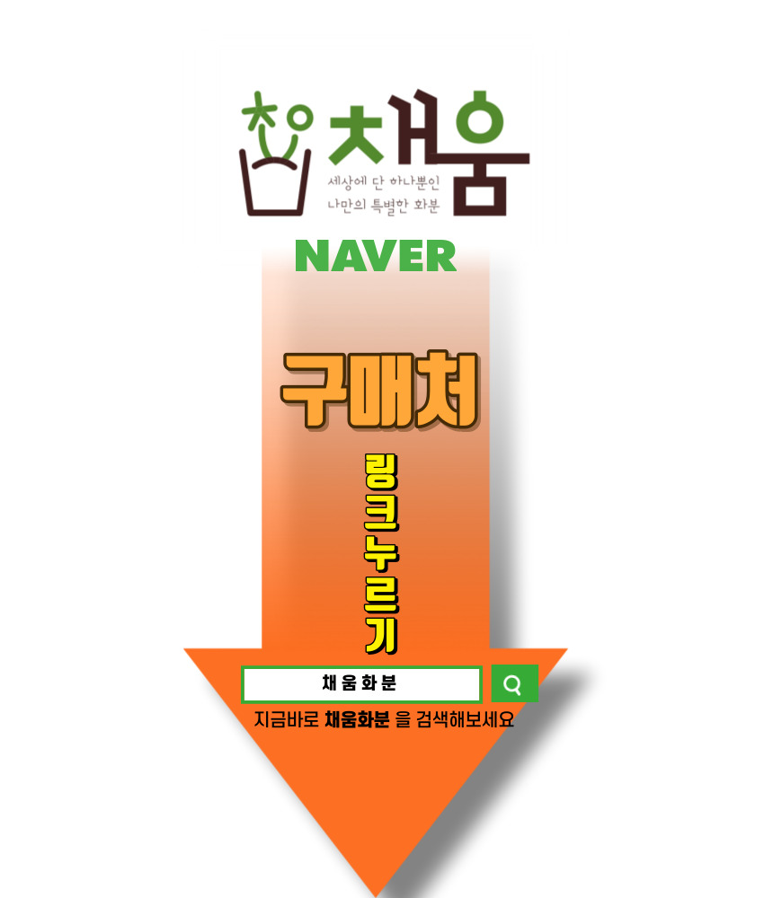 채움정육점 이미지