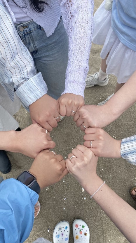 삼척해변별난조개 이미지
