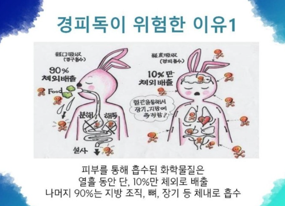 샴푸화장품염색약 이미지