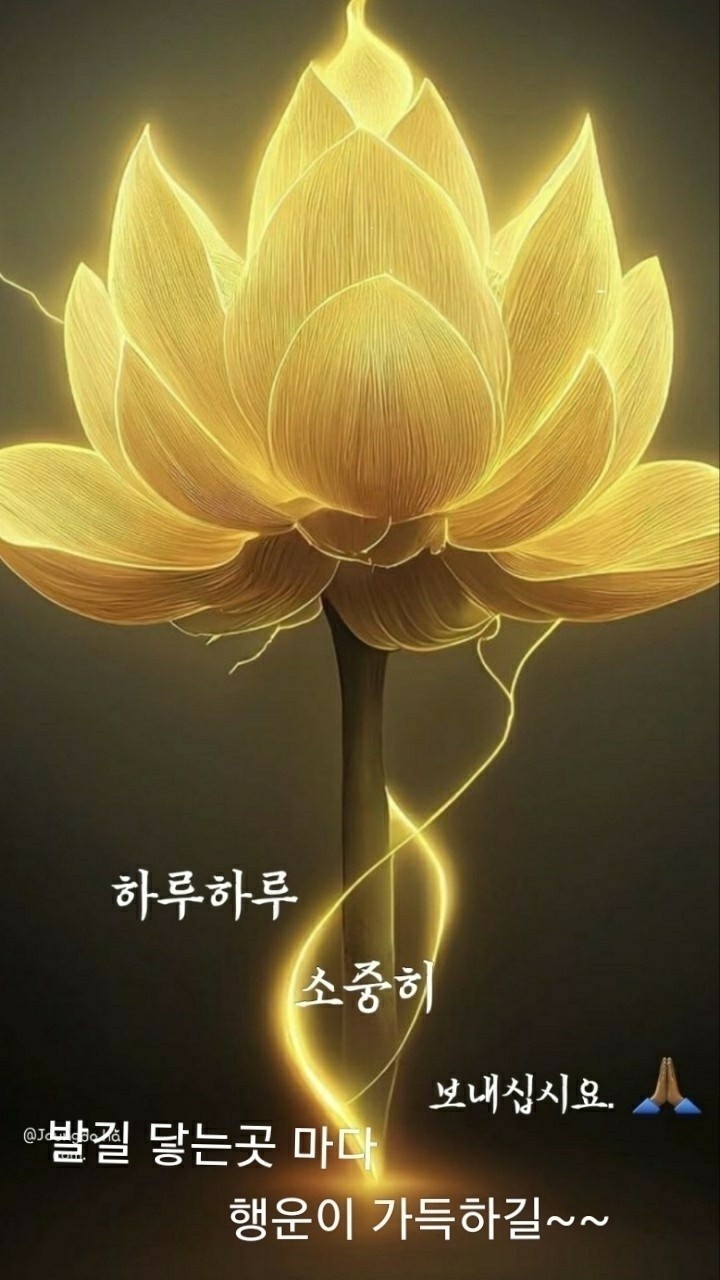 건강한식뷔페 이미지