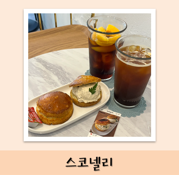 스코넬리 이미지