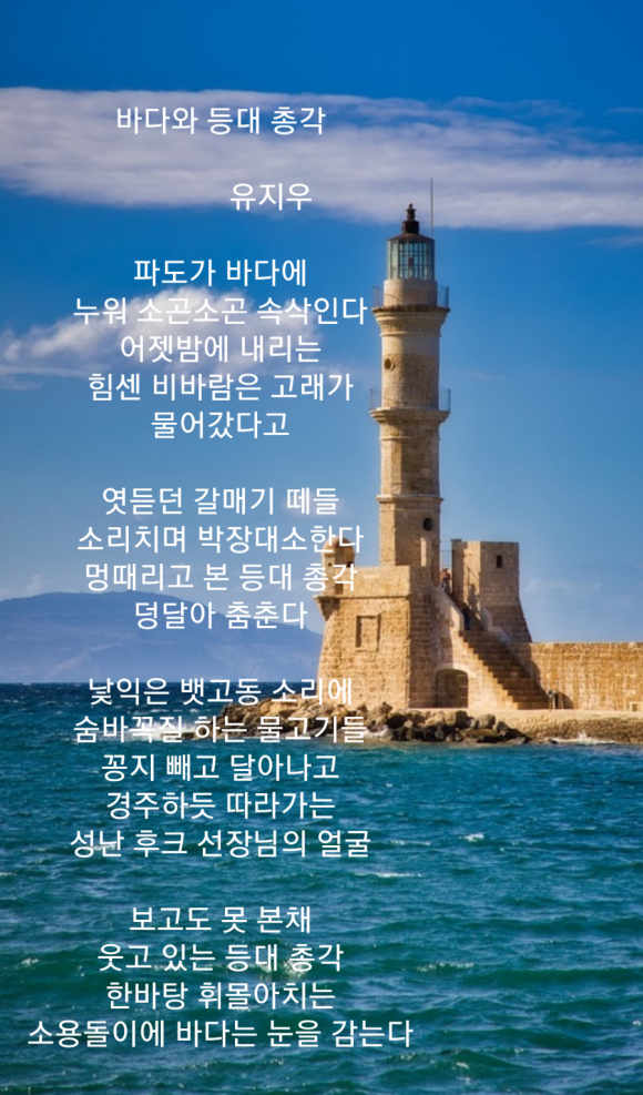 총각갈매기 이미지