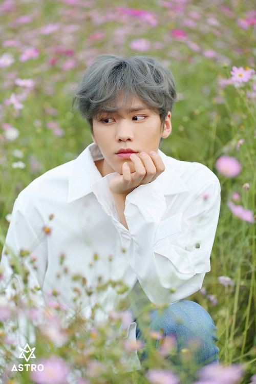 블랭크(Blank) 이미지