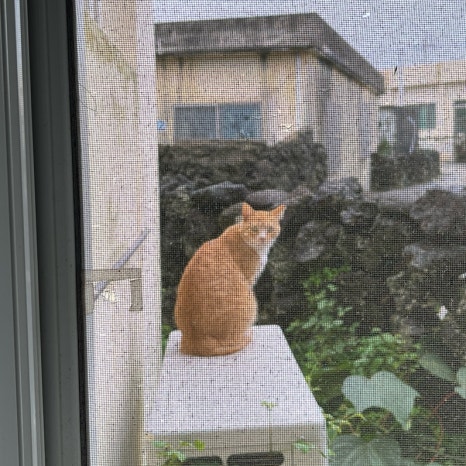 정원이있는마네 이미지