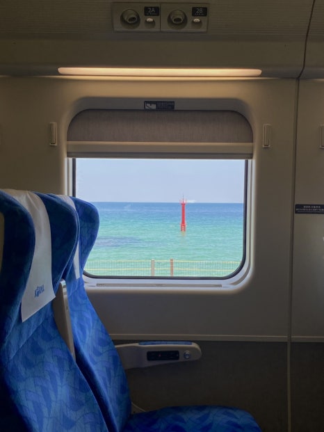 삼척해변별난조개 이미지