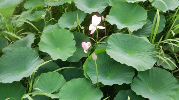 창조크린 이미지