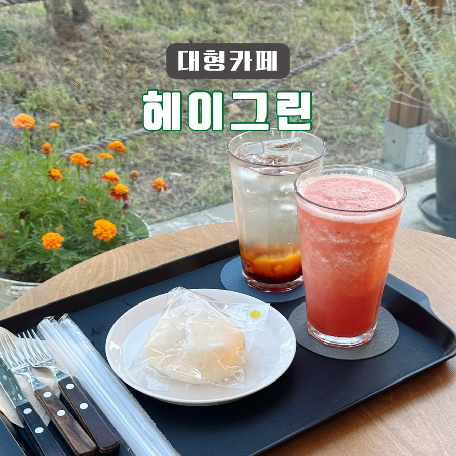 모지그린 이미지