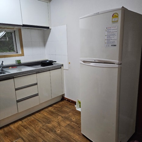 마로니에1970 이미지