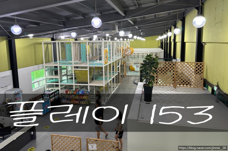 플레이 153 이미지