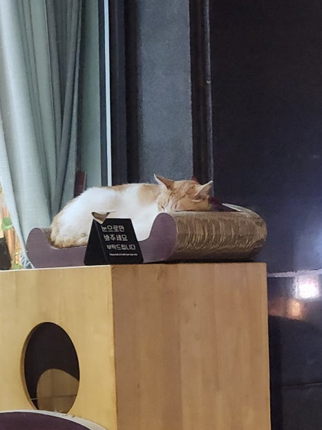 덕성다방 이미지