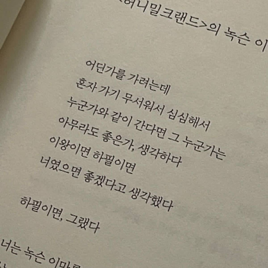 먼데 이미지