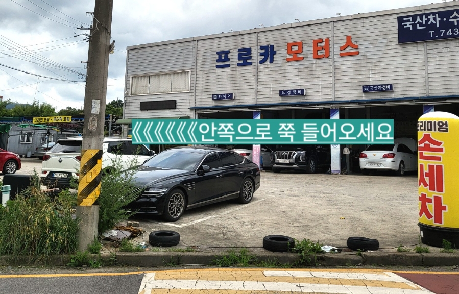 프로카모터스 이미지