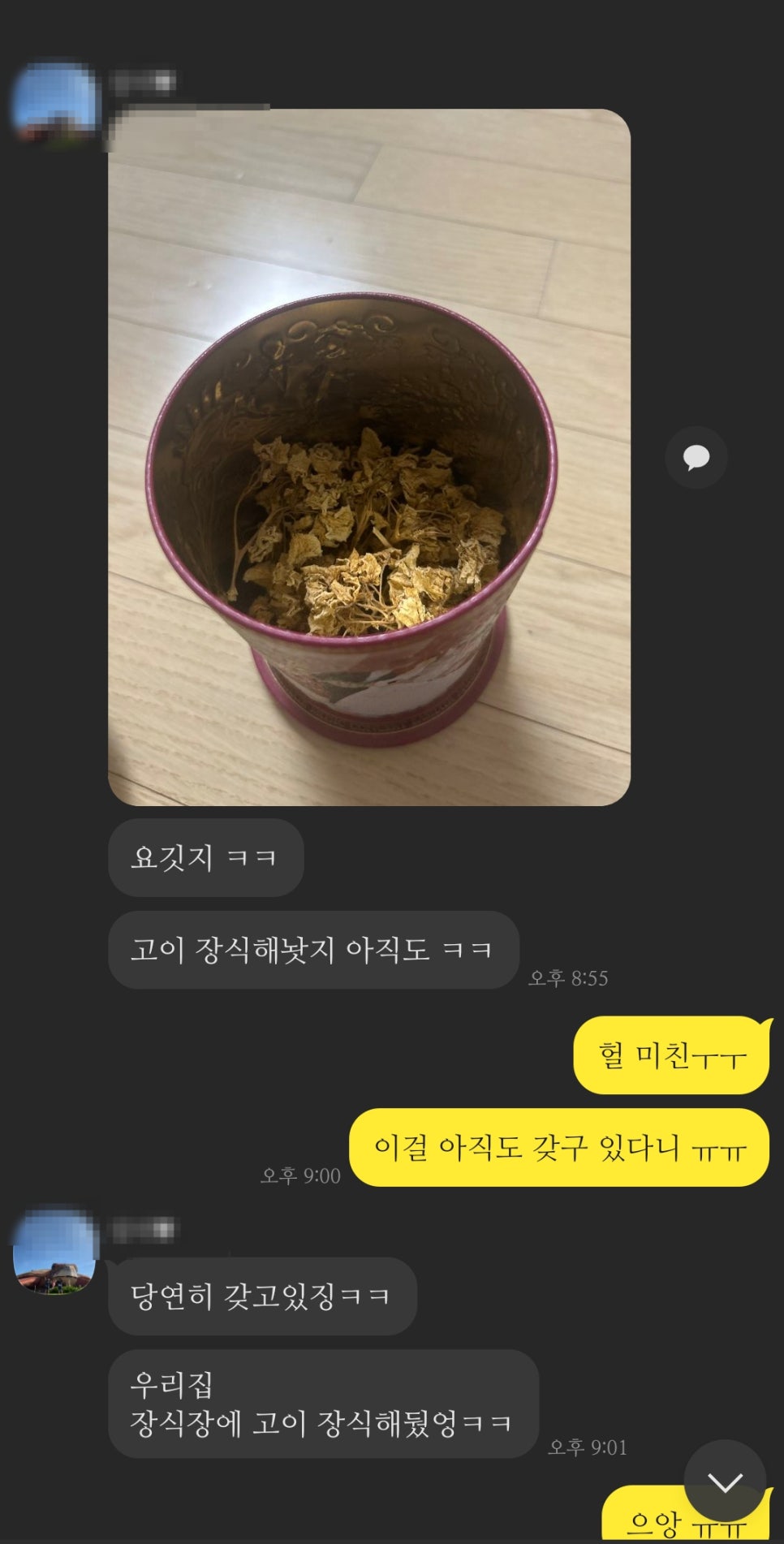 블루밍메모리 이미지