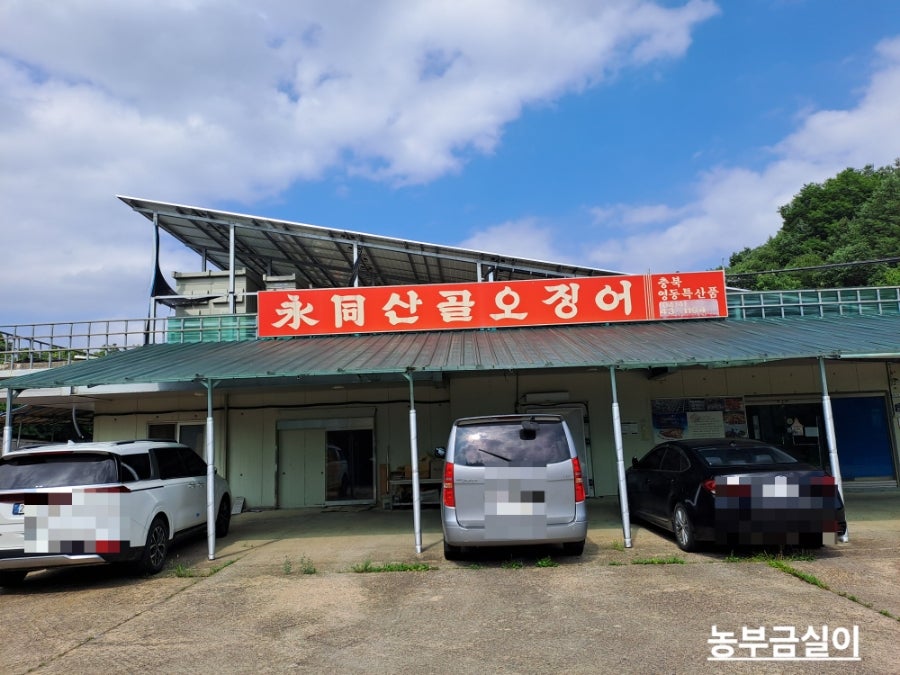 영동산골오징어(주) 이미지