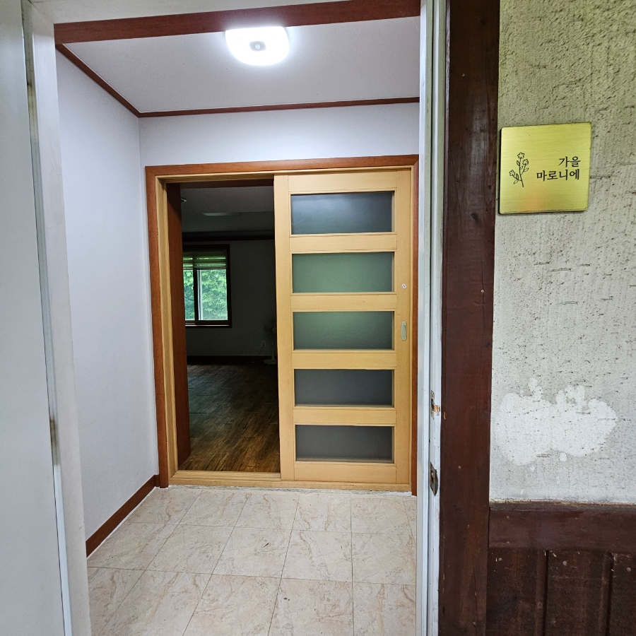 마로니에1970 이미지