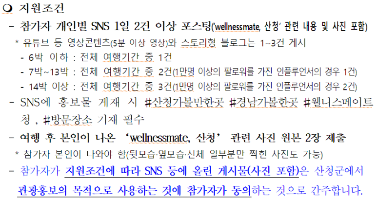 웰니스메이트 이미지