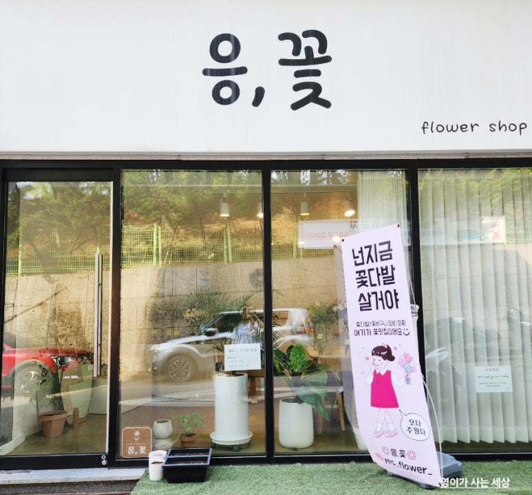 응;꽃 이미지