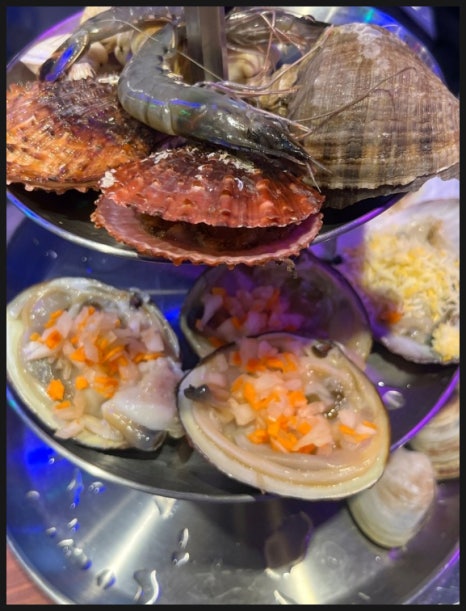 조개바다 이미지