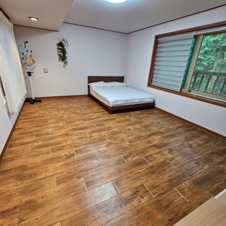 마로니에1970 이미지