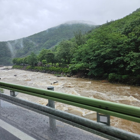 마로니에1970 이미지