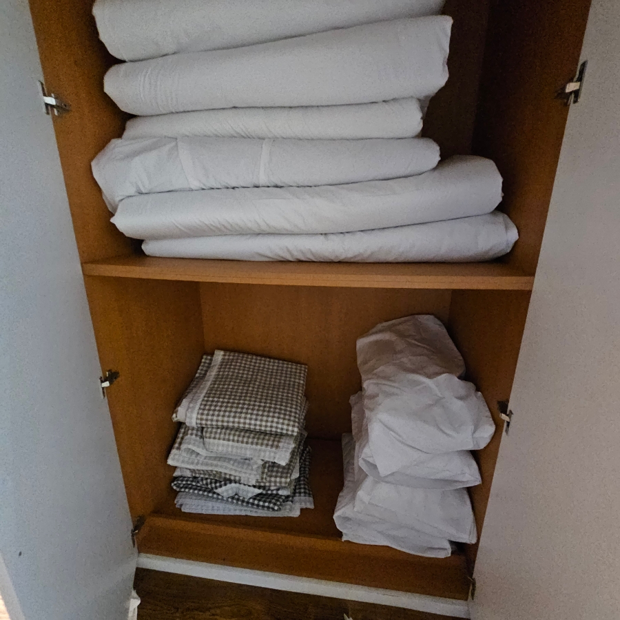 마로니에1970 이미지