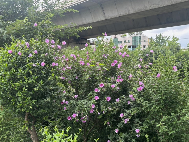 주식회사 요아정 이미지