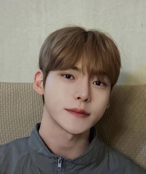 퍼블릭헤어 이미지