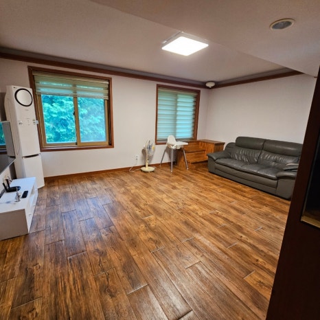 마로니에1970 이미지