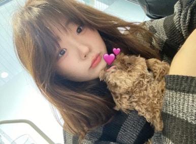 하이마이댕댕 이미지