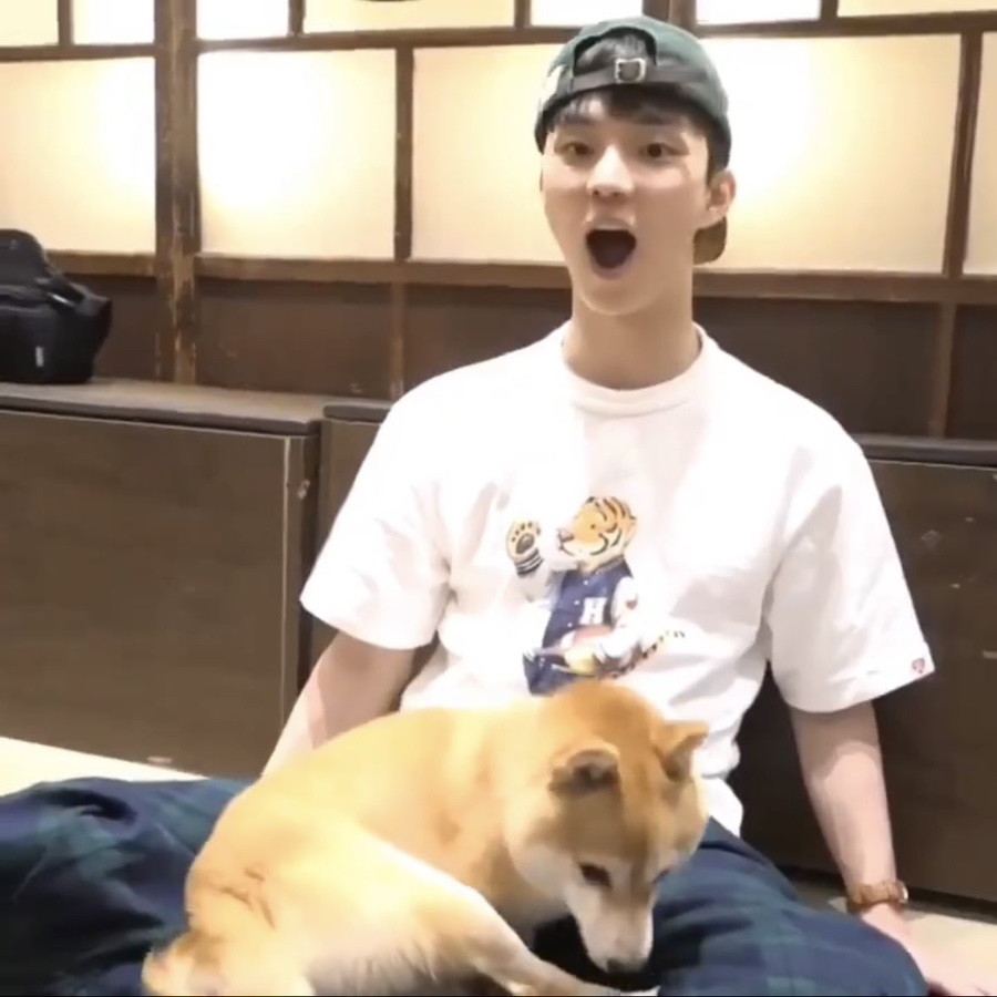 똥깡아지 이미지