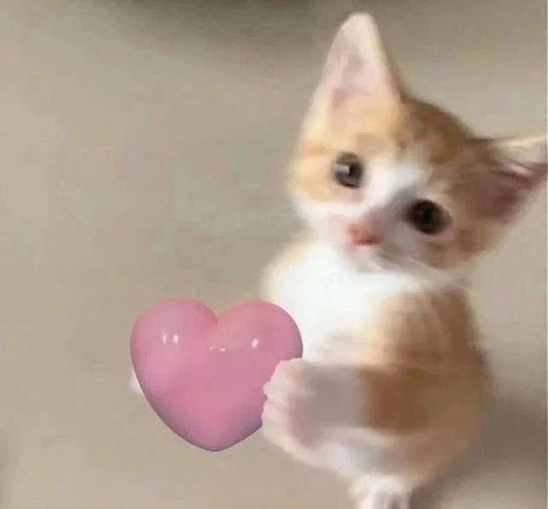 치카성수 이미지