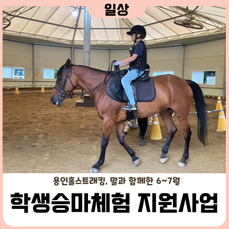 용인홀스트래킹 이미지