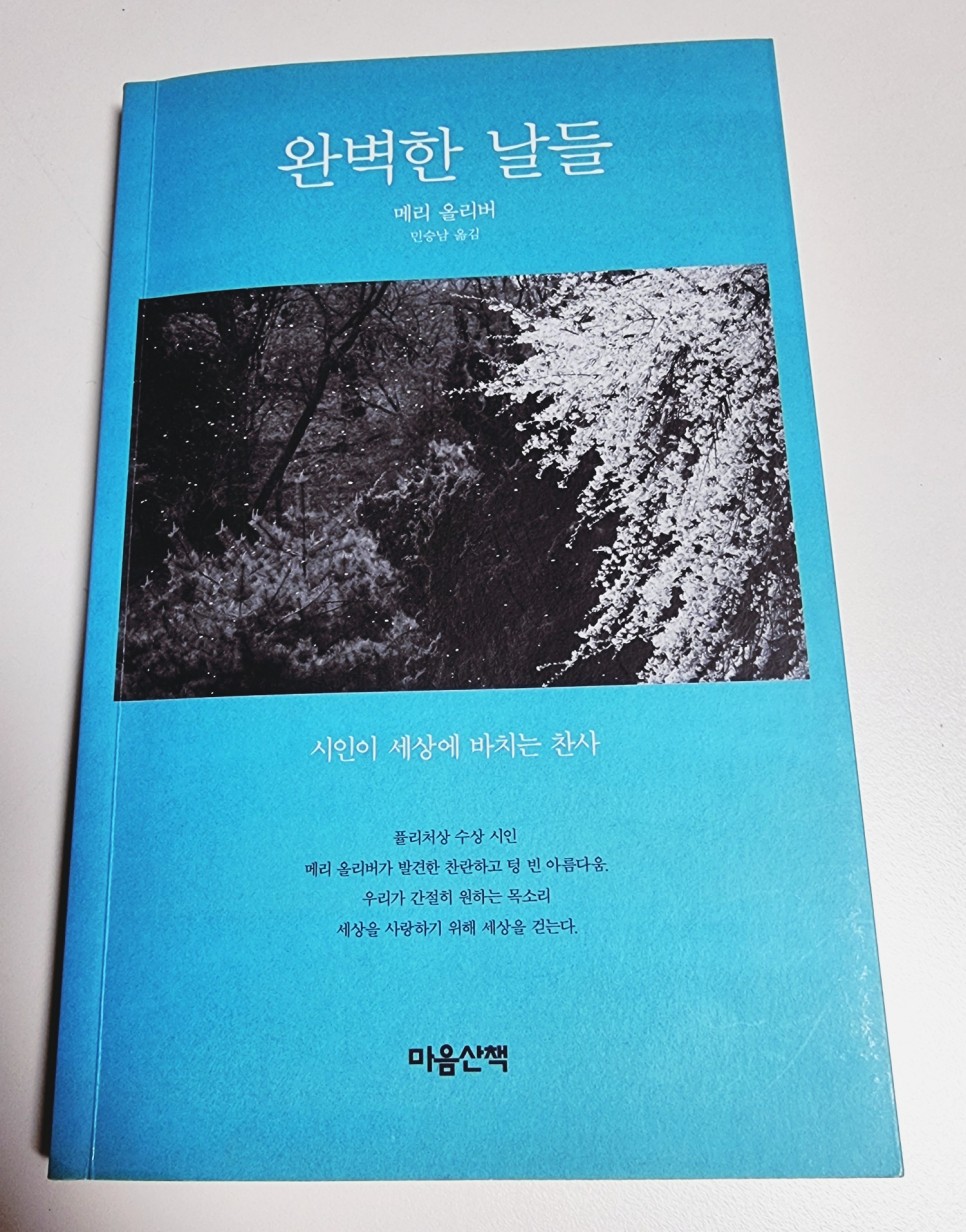 완벽한날들 이미지