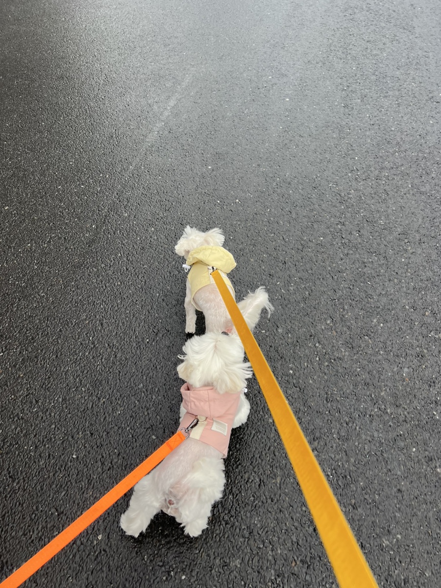 24시참새방앗간 이미지
