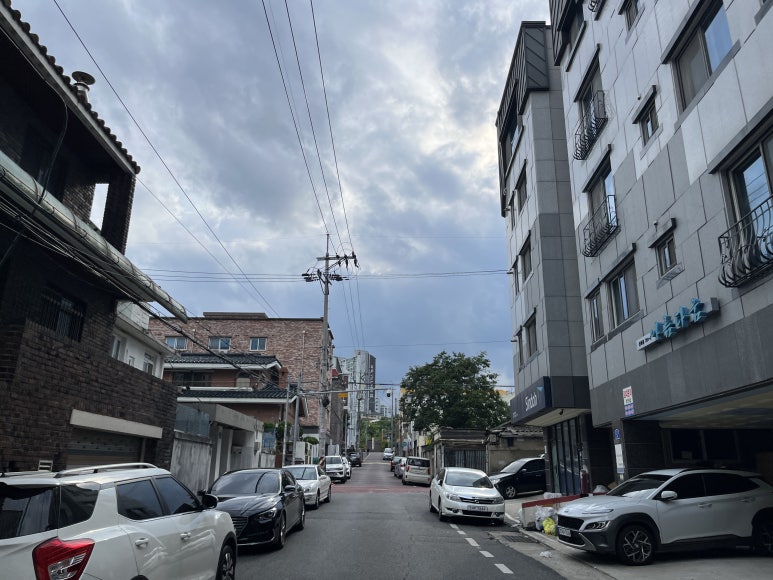 스테이선화 이미지