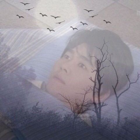 극동다방 이미지