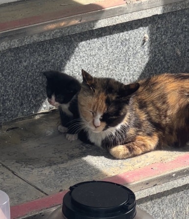 오월하루 이미지