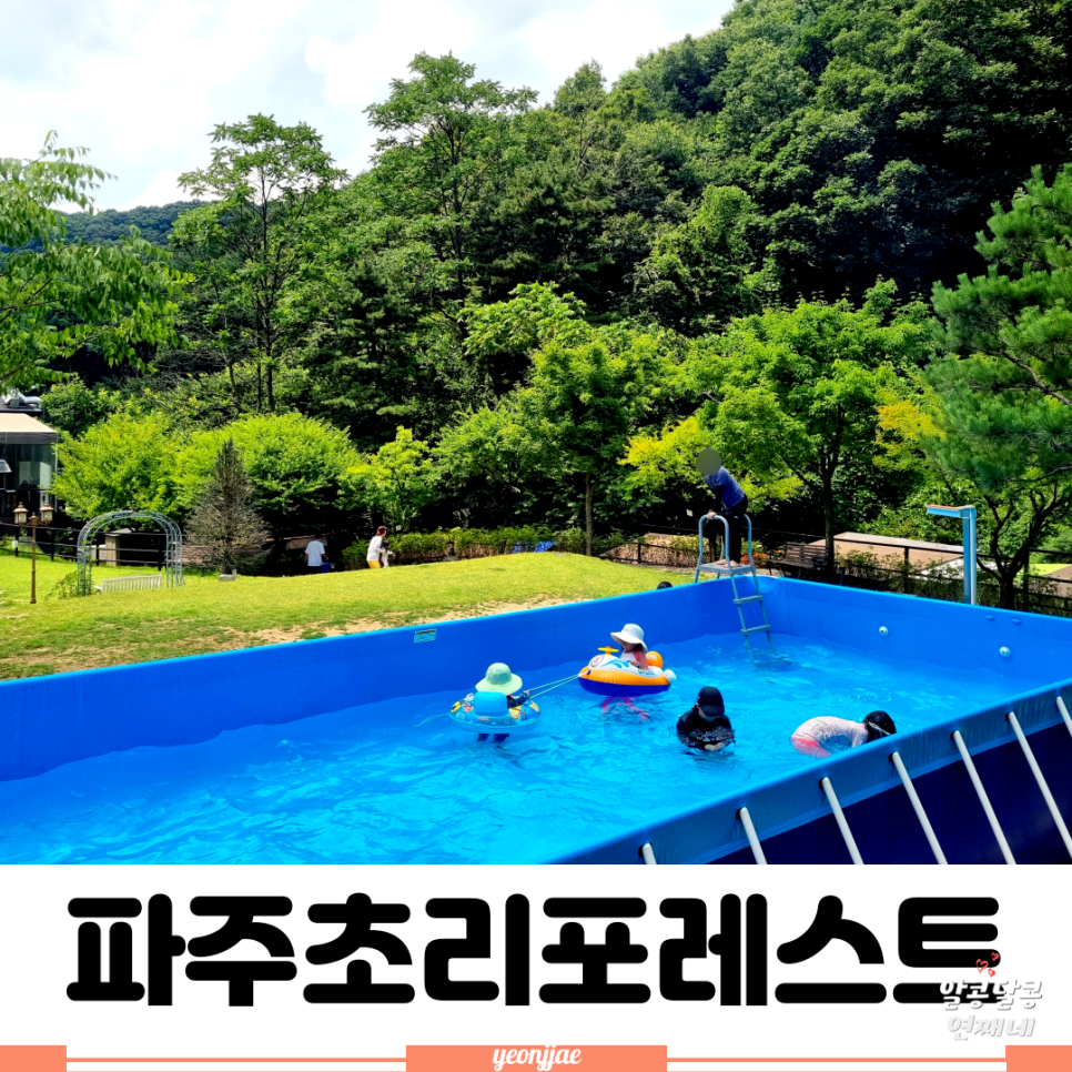 초리포레스트 이미지