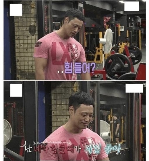 피티그라운드 이미지