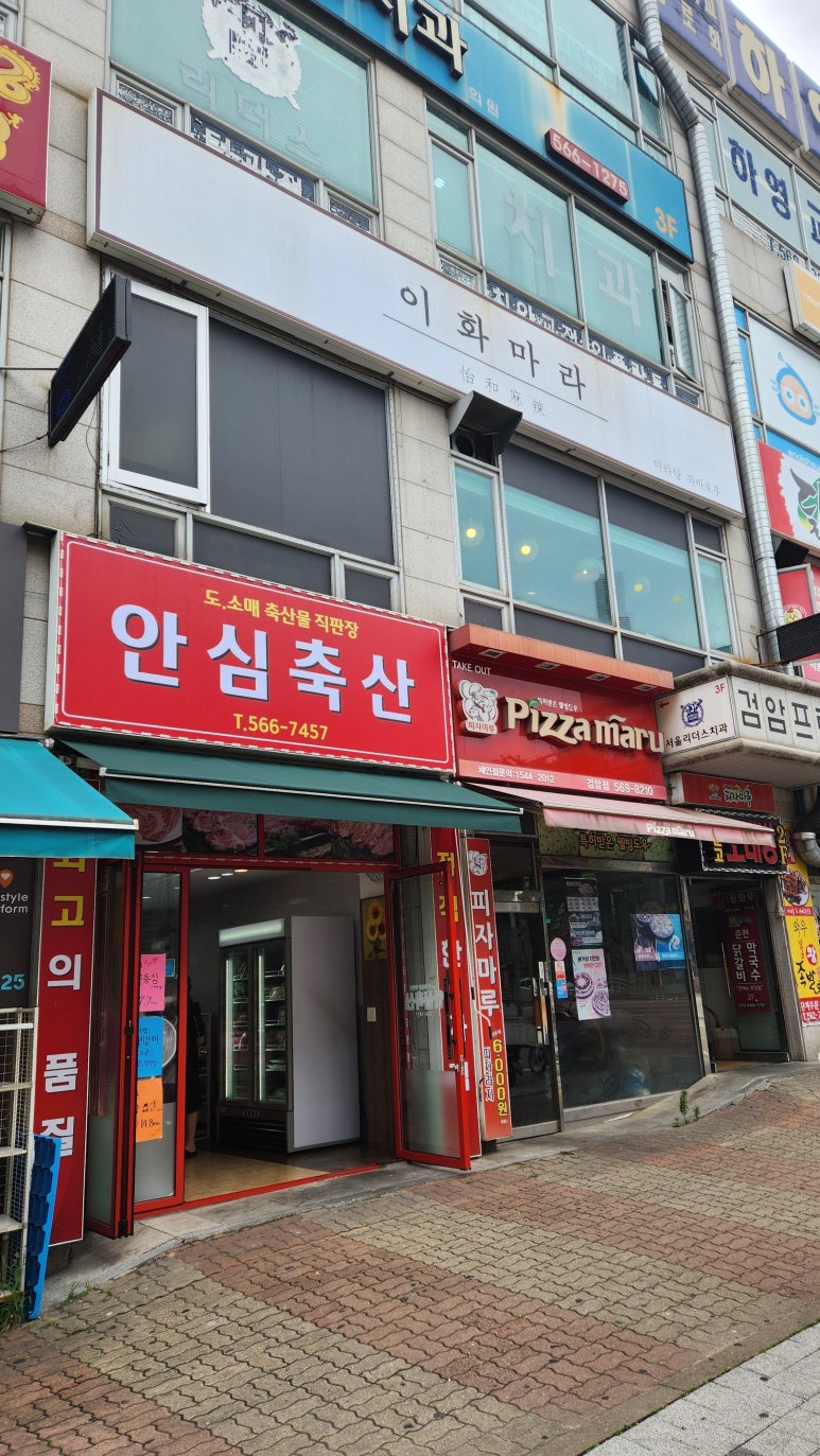 이화마라 이미지