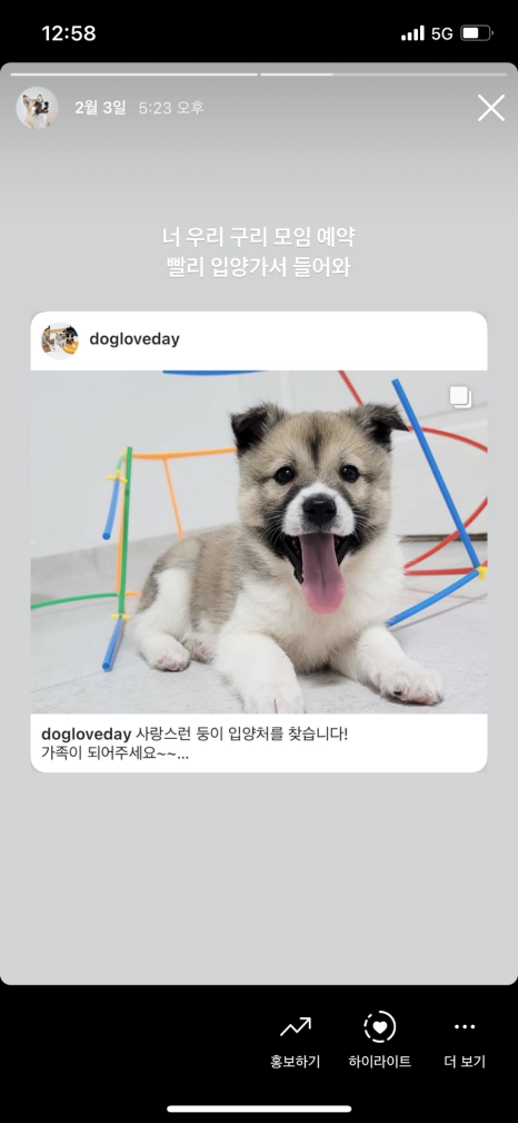 치꼬 이미지