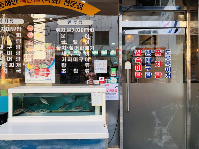 독도막회 이미지
